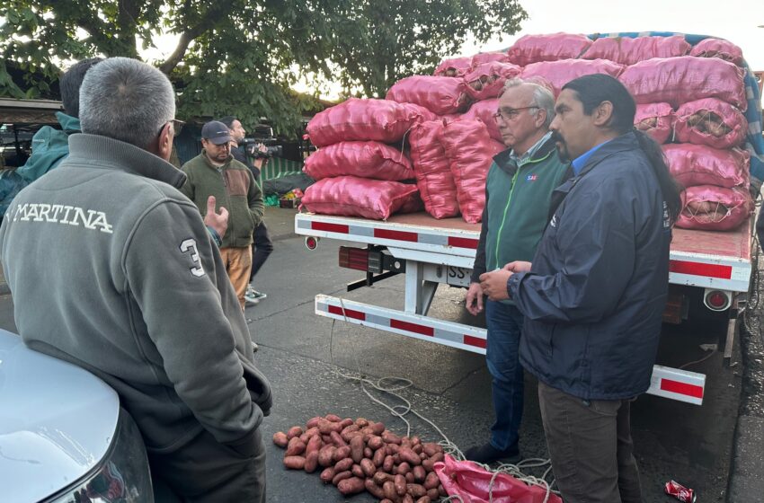  En La Araucanía seremi de Agricultura lidera fiscalización al comercio de la papa para evitar ingreso de productos ilegales