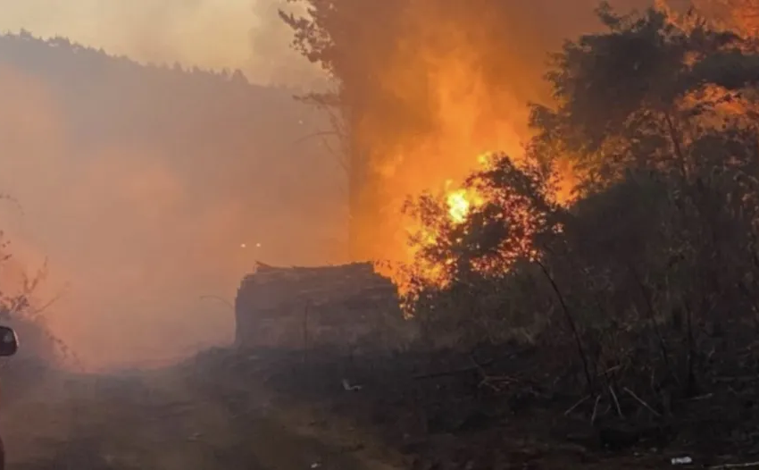  Sigue activo incendio forestal originado tras ataque de organismo de la CAM