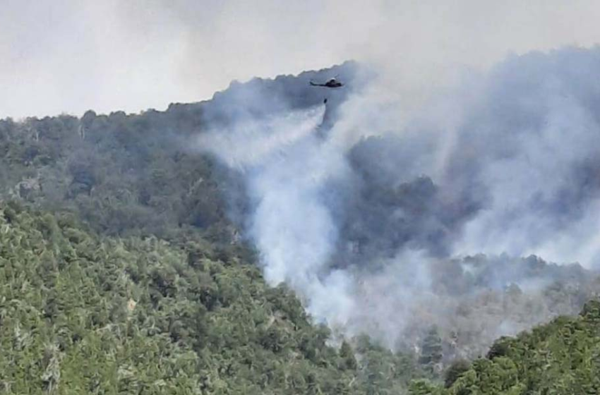  Incendio forestal se mantiene activo en Lonquimay: siniestro ya ha consumido más de mil hectáreas