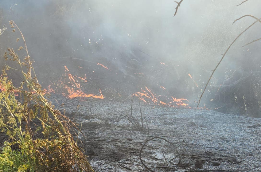  Alcalde de Galvarino por incendios forestales: «El fuego está ad portas de la ciudad»