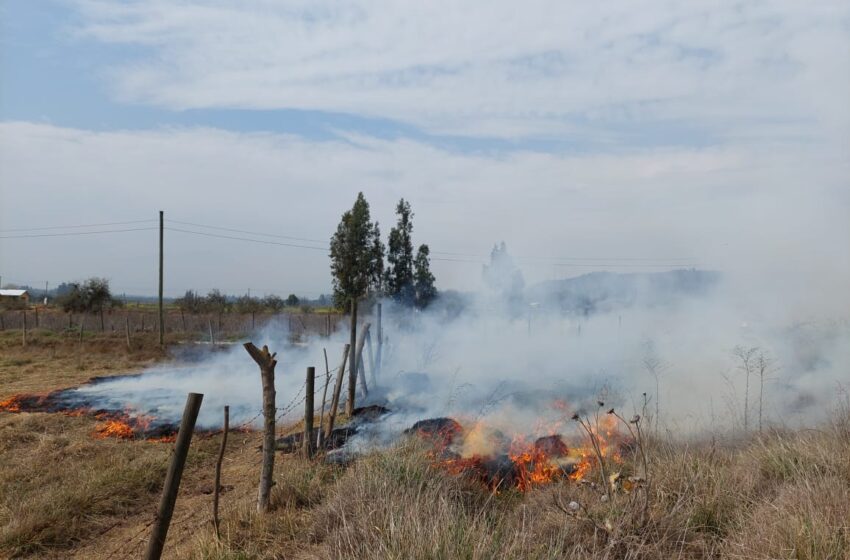  CONAF abre calendario de quemas de desechos agrícolas y forestales en toda La Araucanía