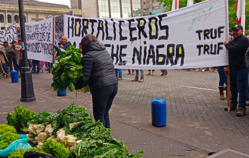  Municipio de Temuco denuncia a ambulantes ilegales que se tomaron Av. Balmaceda