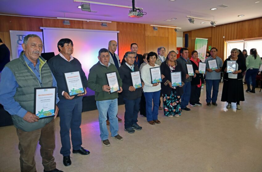  Exitoso «Panorama Mayor» reunió por primera vez a clubes rurales de personas mayores de Temuco